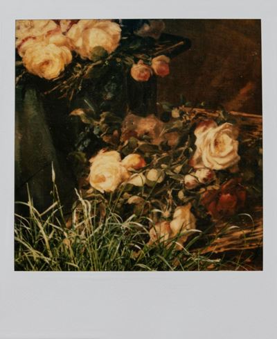 Still Life, Polaroid, 1981