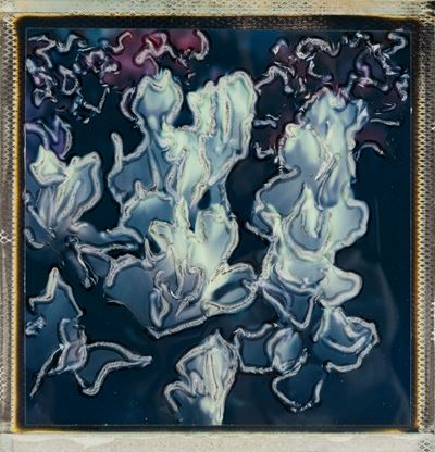 Fiori di fine millennio, Polaroid con interventi di manipolazione