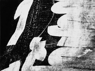 Presa di Coscienza sulla Natura, Stampa alla gelatina ai sali d'argento, 1992