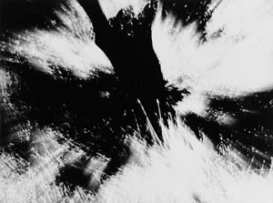 Estate, from the series "Omaggio a Spoon River"