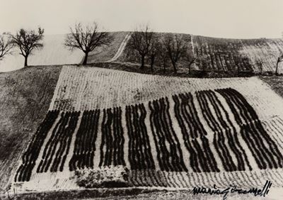 Paesaggio, Stampa industriale a colori da fotografia originale in bianco e nero