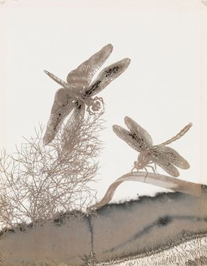 Sudre Jean-Pierre - Lacoste