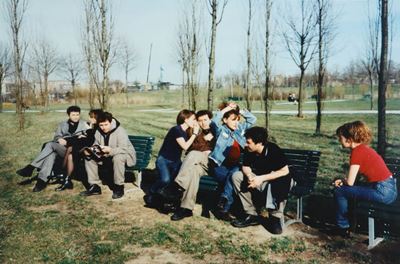 Sheep(s) - Stampa lambda su alluminio 1996
