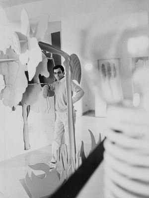 Gino Marotta, Naturale-artificiale 1968