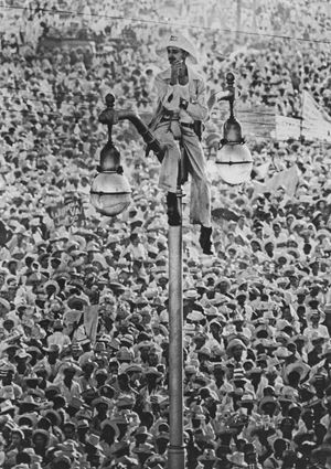 El Quoijote de la Farola