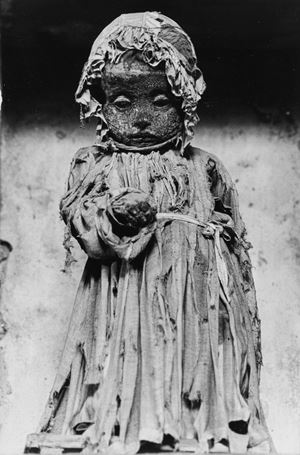 Palermo, ai Cappuccini