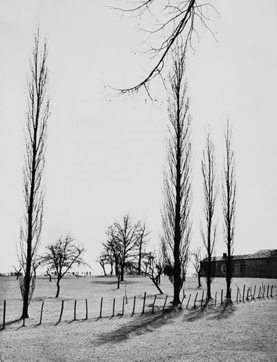Matin d'hiver - Stampa vintage alla gelatina ai sali d'argento