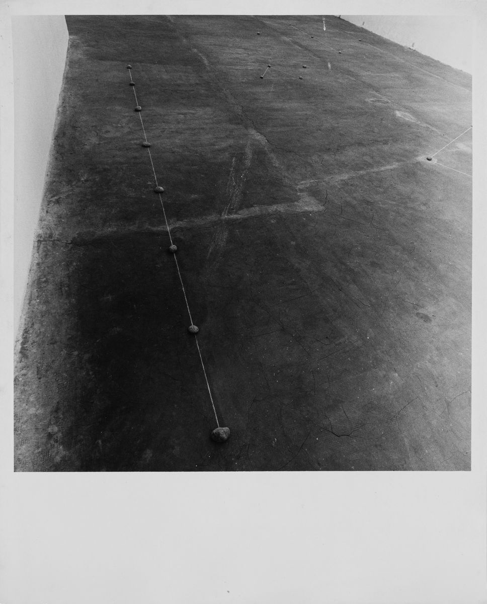 Lotto Composto da 06 Stampe Vintage e Catalogo della Mostra Mel Bochner
