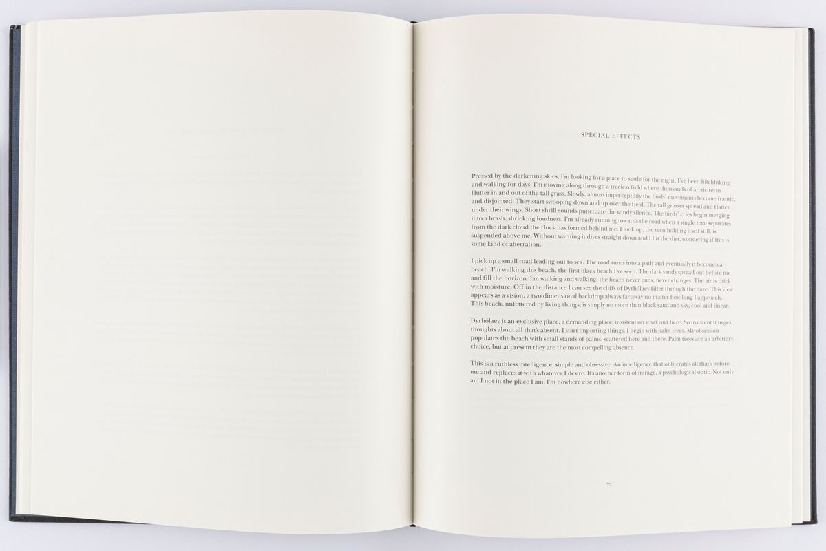 Roni Horn - Island. To Place