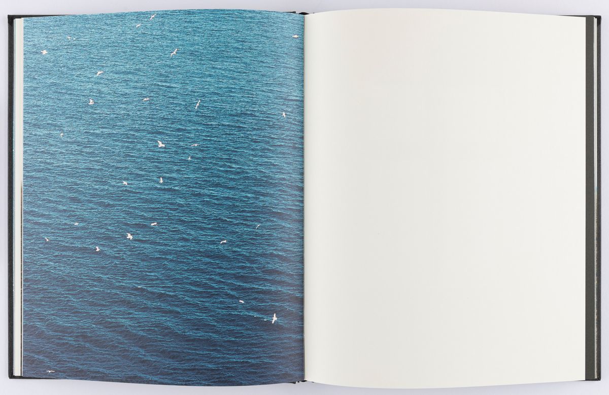 Roni Horn - Island. To Place