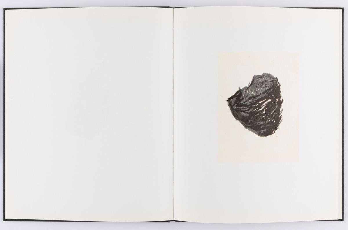 Roni Horn - Island. To Place
