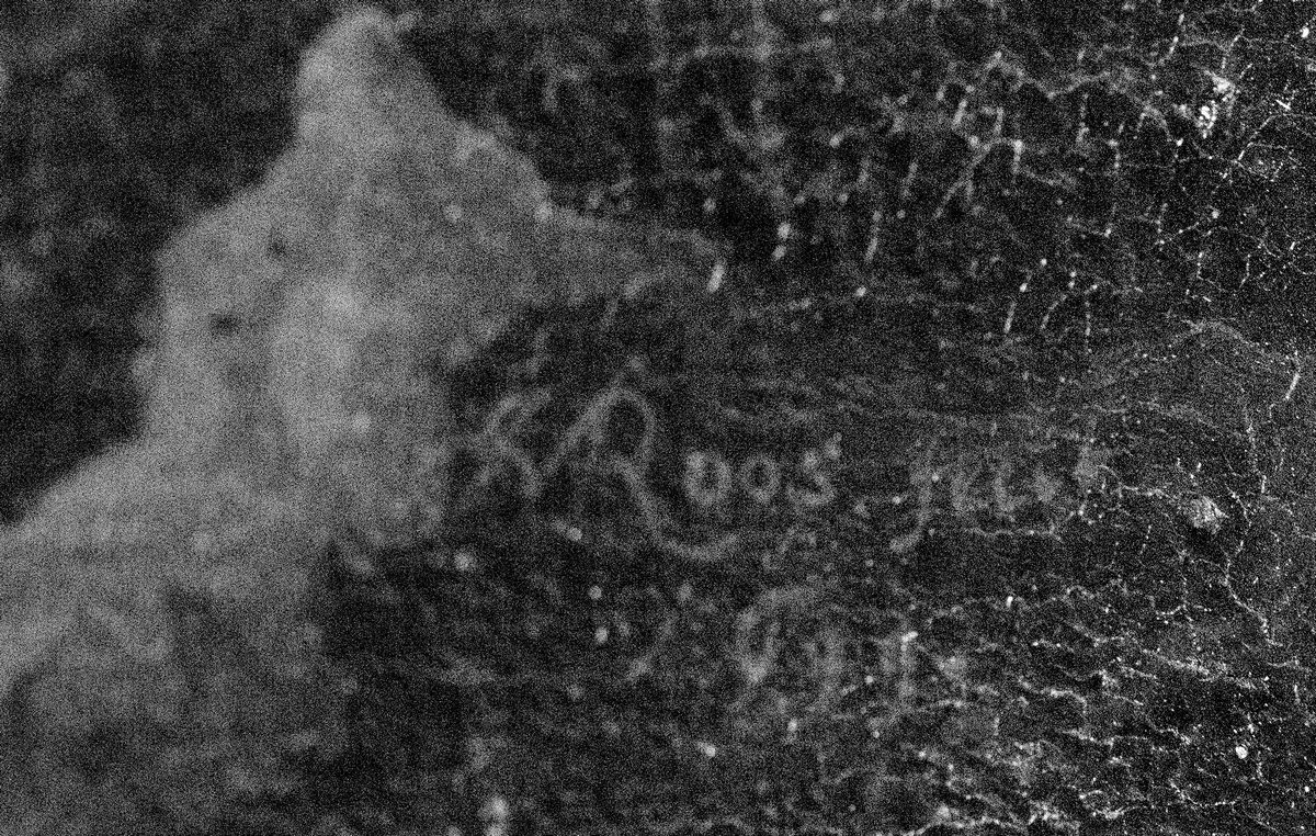 Johann Melchior Roos, Leone, olio su tela