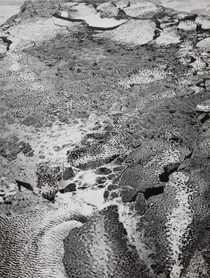 Senza titolo (Finlandia)