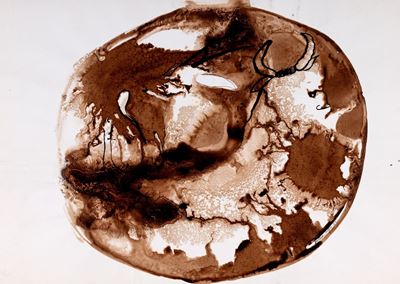 Segni di Terra