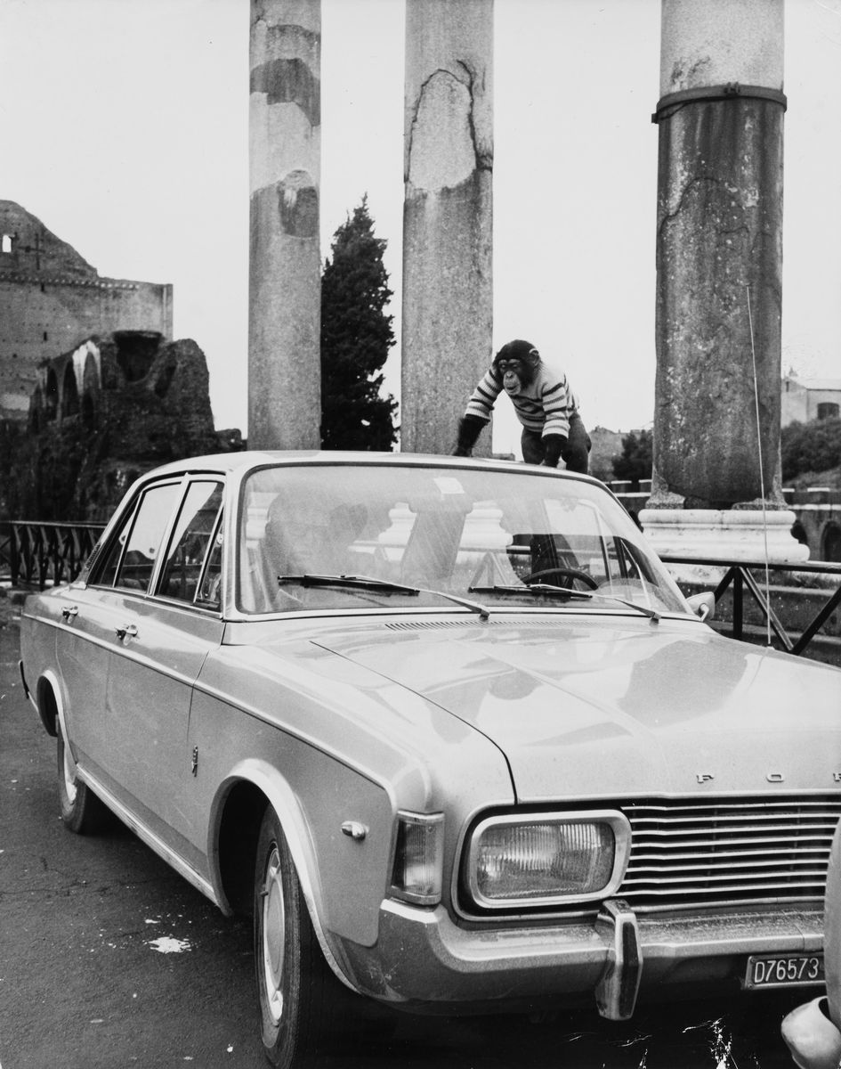 Anonimo - Senza Titolo (ford)