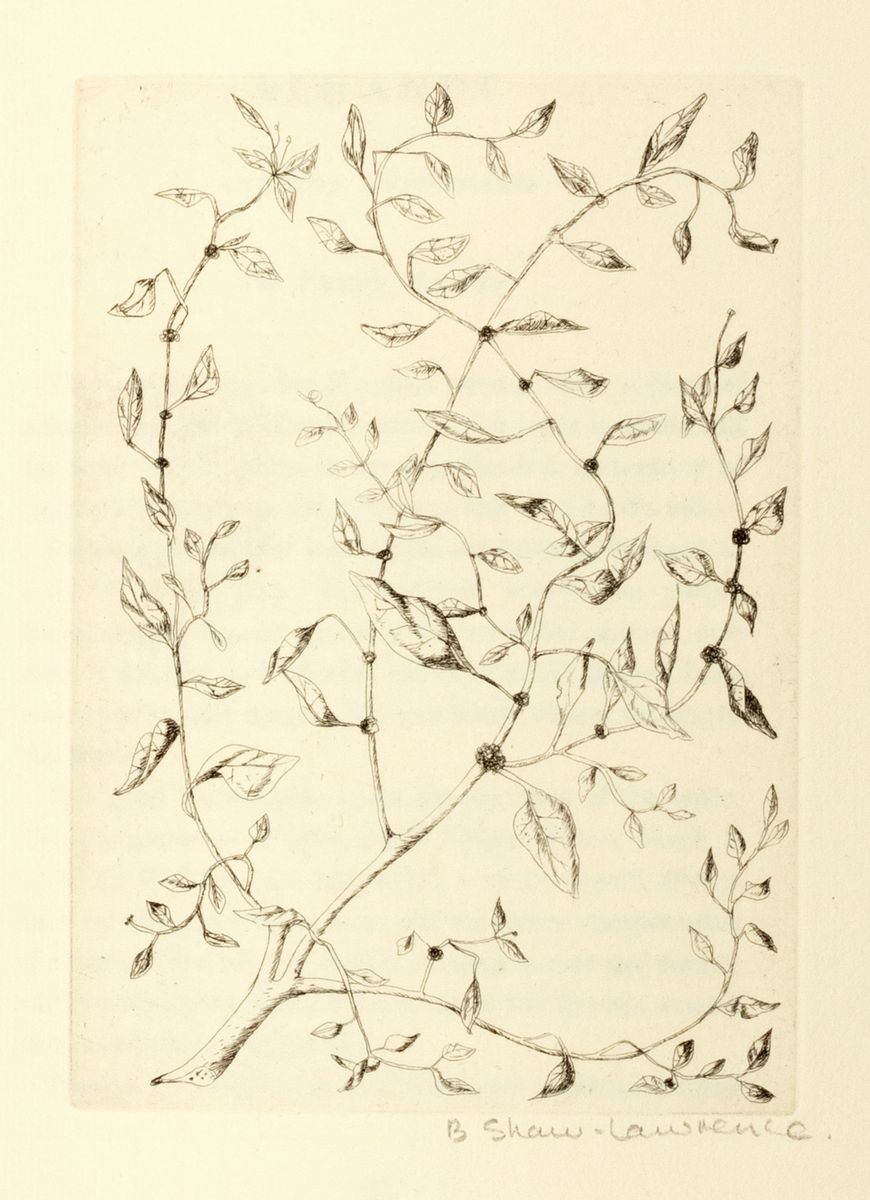 Thomas Fassam, Betty Shaw-lawrence - An Herbarium For The Fair, Being a Book Of Common Herbs