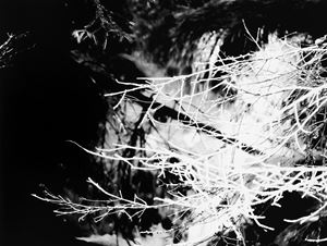 Archeologia dei sentimenti