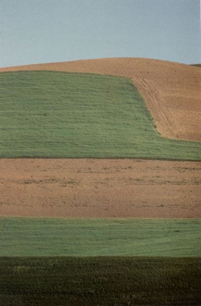 Paesaggio in Puglia, stampa in phototransfer