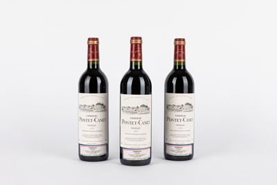 Chateau Pontet-Canet, Vino rosso, 1995