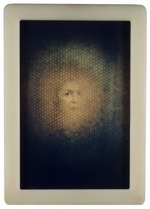 CREMASTER 2: The royal cell of baby Fay