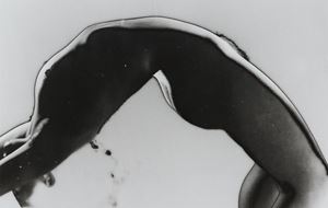 Curve