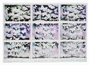 DS & Butterflies... Beaulieu sur mer