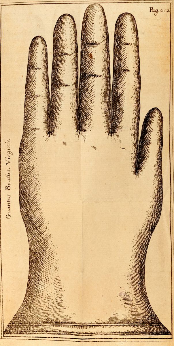 Giovanni Battista Pacichelli - Schediasma Juridico-philologicum Tripartitum