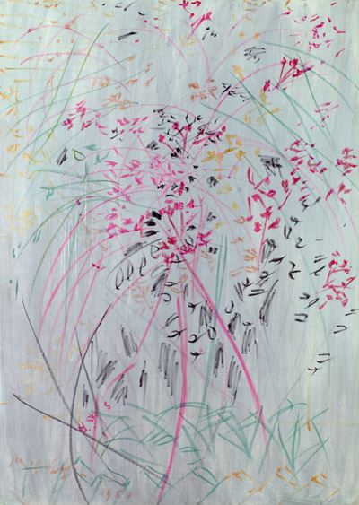 Fiori