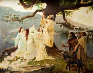 La raccolta del vischio sacro