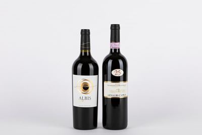 Arnaldo Caprai, Vini Caprai 25 anni e Albis