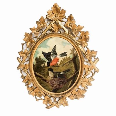 Coppia di Ciuffolotti