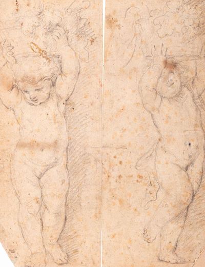 Studio di due putti con cesti di fiori e frutti, matita nera su carta marroncina