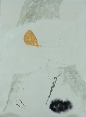 Presenze Trasparenze