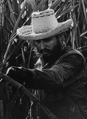 Salas Osvaldo - Fidel Castro, Corte Cana