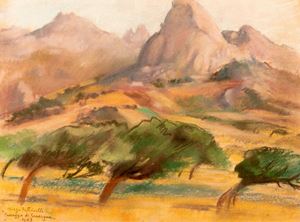 "Paesaggio di Sardegna"