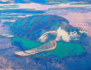 Warhol Andy - Turtle