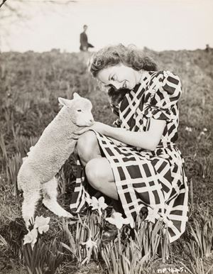Hazel Court