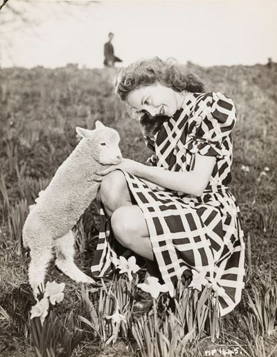 Hazel Court