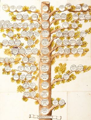 Memorie genealogiche della famiglia dei Sig. Conti Della Porta