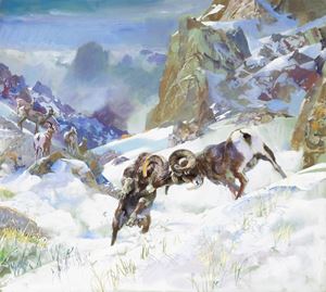 Pecora delle montagne rocciose