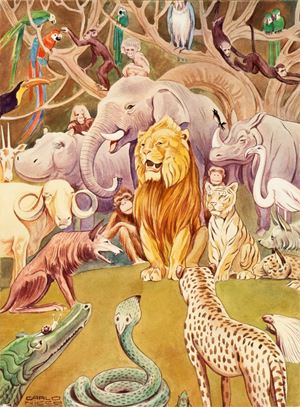 Storia di un cucciolo di tigre