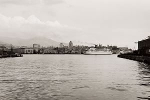 Basilico Gabriele - Genova