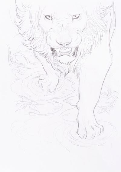 Love - Il leone, matita su carta, 21 x 29,5 cm, 2015