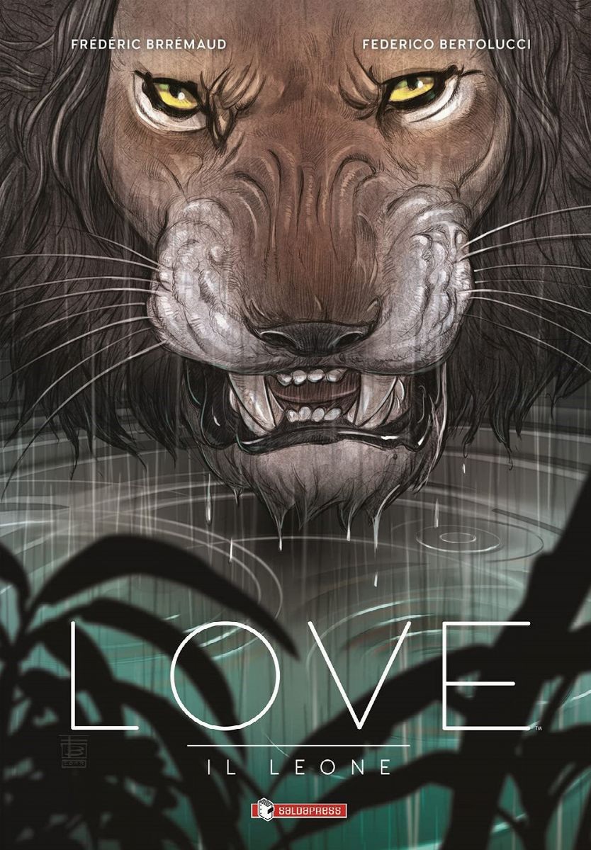 Federico Bertolucci - Love - Il leone, matita su carta, 21 x 29,5 cm, 2015