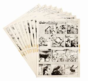 I Condor dell'Huascaran