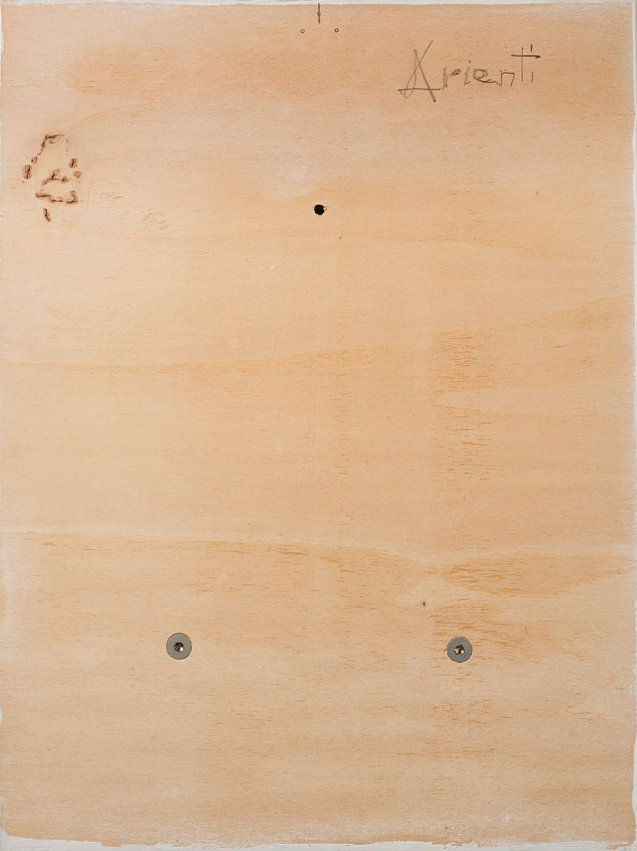 Stefano Arienti - Senza titolo, libro, 1989