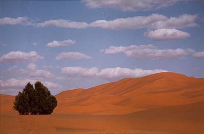 Paesaggio - Stampa vintage cibachrome