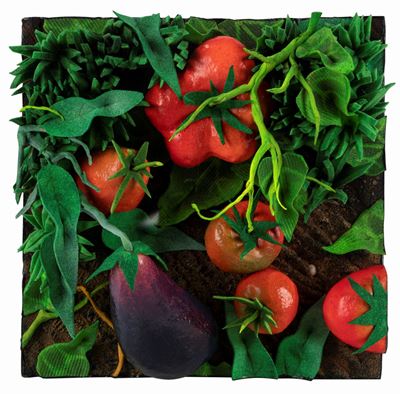 Pomodori e melanzana, poliuretano espanso entro teca di plexiglas