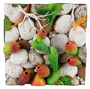 Spiaggia con fichi d'india