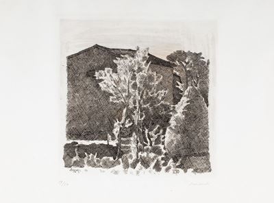 Il Poggio al Mattino